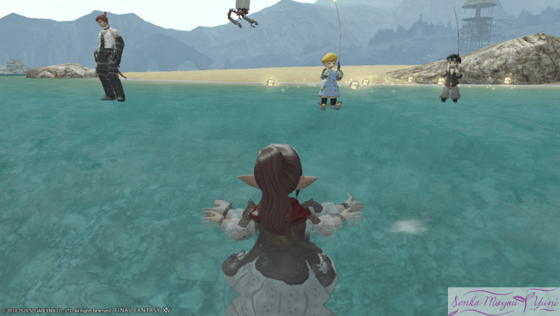 Ff14 みんなで海水浴 Senka Moyou