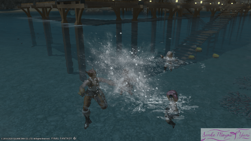 Ff14 みんなで海水浴 Senka Moyou